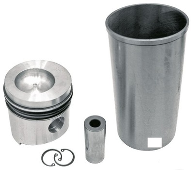 SET SET PIERSCIENI FENDT RENAULT MWM FI-100 - milautoparts-fr.ukrlive.com