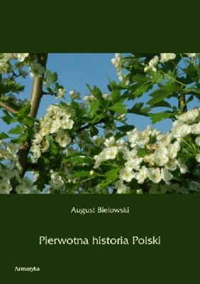 Pierwotna historia Polski - August Bielowski | Armoryka