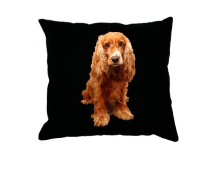 DEKORACYJNE PODUSZKI Cocker spaniel PIES PSY