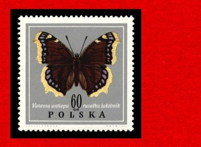 1653 zn cz** 1967 Motyle