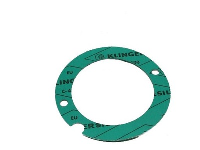 EBERSPAECHER 25 1688 06 00 03 GASKET IGNITOR - milautoparts-fr.ukrlive.com