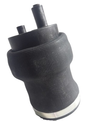 AIR BAGS CABINS RENAULT PREMIUM DCI DXI - milautoparts-fr.ukrlive.com