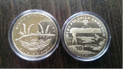 Minóg Strumieniowy - 10 złotych rybek - Ryby Polsk