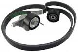 RENAULT WITH 7701476644 BRIDLE BELT ELECTRIC GENERATOR - milautoparts-fr.ukrlive.com