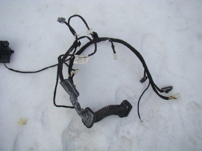 Kangoo ii джгут двері лівий перед 241252180r фото №1