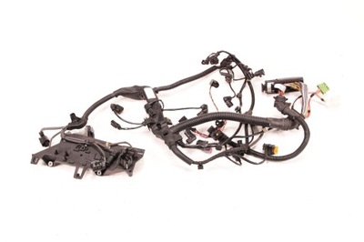 BMW F20 F21 120D N47 N47N - WIRE ASSEMBLY ENGINE 8507896 - milautoparts-fr.ukrlive.com