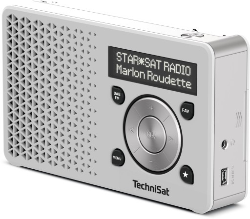 РАДИО DAB+/FM TECHNISAT DIGITRADIO 1 Серебристый и белый