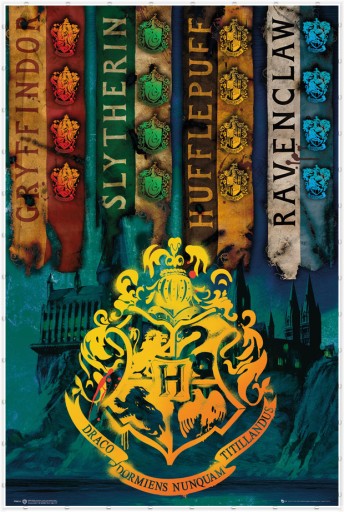 Harry Potter Flagi Domów - plakat 61x91,5 cm