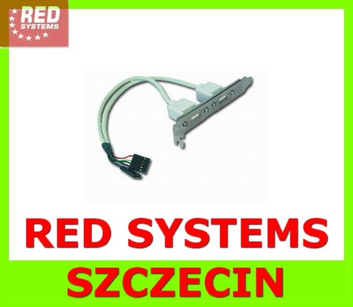 Dodatkowe Dwa porty USB2.0 na płycie głównej Śledź