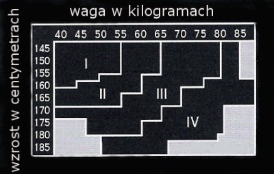 POŃCZOCHY KRYJĄCE 100 DEN MIKROFIBRA 3D KORONKA 3/4