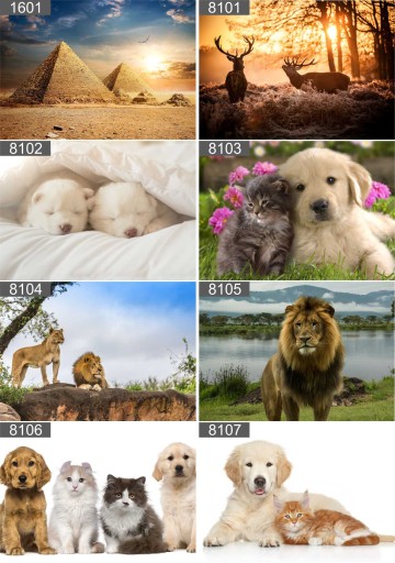 3D ФОТО ОБОИ СДЕЛАННЫЕ НА ИЗМЕРЕНИЕ КОСМОСА Земля ВЫБОР FILSELS