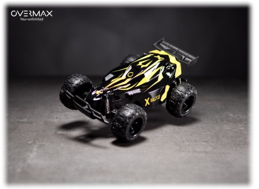 RC X RALLY 2.0 БОЛЬШАЯ РУ МАШИНА