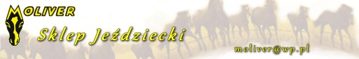 Защитники Йорка венец, прикрепленные к штифтам. полный