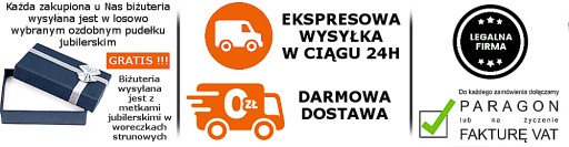 Srebrny Łańcuszek ROLO 100 cm Wysyłka Opakowanie