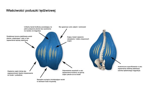PODUSZKA ortopedyczna LĘDŹWIOWA nakładka pamięć FV