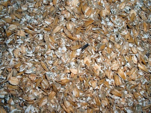 Zgniatacz Ziarna Gniotownik Walcowy MASZ-ROL 7,5kW