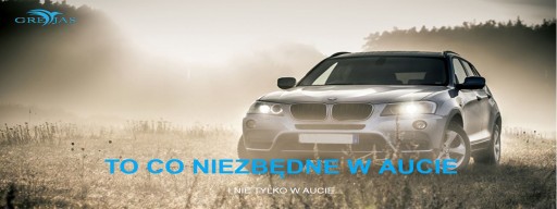 АВТОМОБИЛЬНОЕ ЗАРЯДНОЕ УСТРОЙСТВО USB 5 В 3,1 А 12–24 В B