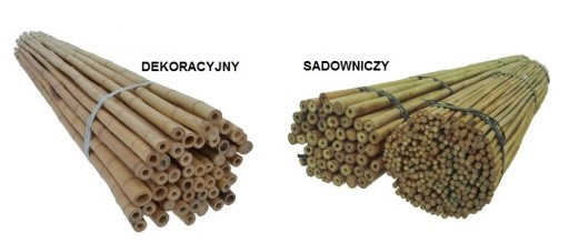 TYCZKI BAMBUSOWE 120 cm 20/22 mm /50 szt, bambus
