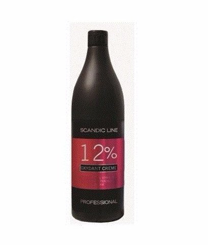 SCANDIC WODA 12% 1L