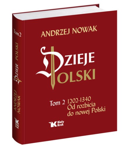 DZIEJE POLSKI Od rozbicia do nowej Polski Tom 2