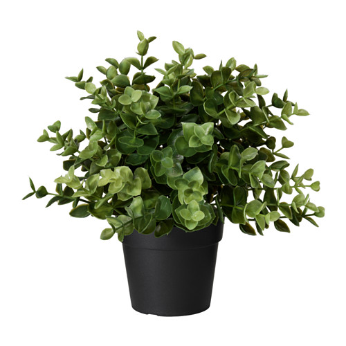 IKEA FEJKA sztuczne ZIOŁA w doniczce OREGANO 22 CM