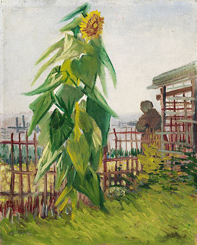 van Gogh - Sunflower, 35x40, OBRAZ NA PŁÓTNIE