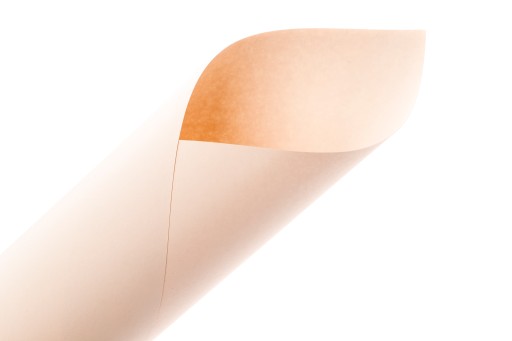 PAPIER WIZYTÓWKOWY KOLOR SKÓRY KARTON 300g (45)
