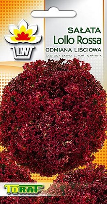 SAŁATA LIŚCIOWA – LOLLO ROSSA (CZERWONA) 1 GRAM