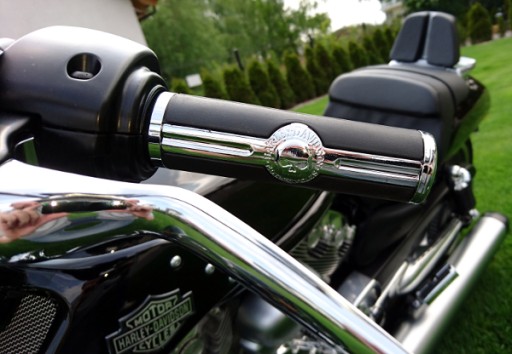 VS-25 - HARLEY DAVIDSON V-ROD VRSC ЧЕРЕП ПЕРЕКЛЮЧАТЕЛИ 100% HD