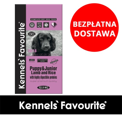 Kennels favourite puppy outlet junior