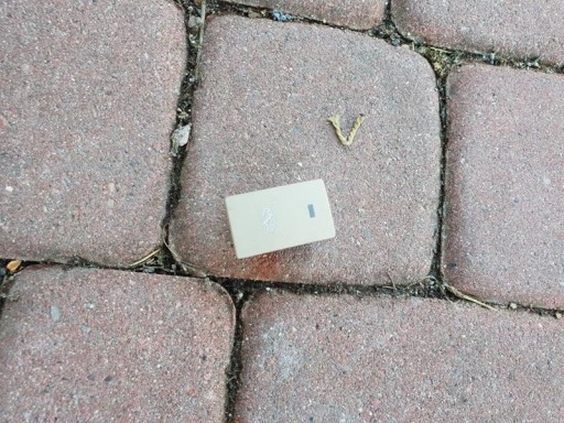 button switch kremowy Insignia 13281639