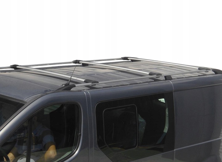 Багажник на крышу автомобиля — Renault Trafic II 2001-2014