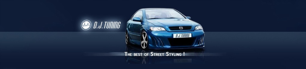 фото №2, Peugeot 206 пороги radical dj-tuning