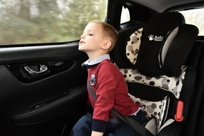 фото №14, Шторки skoda rapid spaceback 2012- захист шторка сонцезахисні